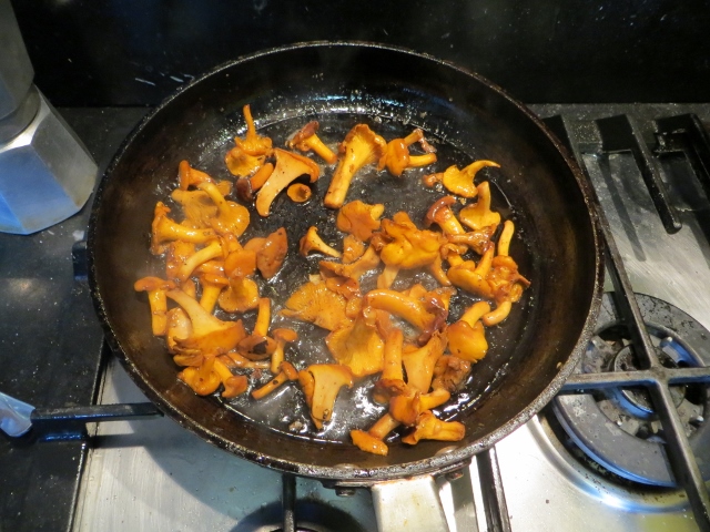 girolles 002 (640x480).jpg